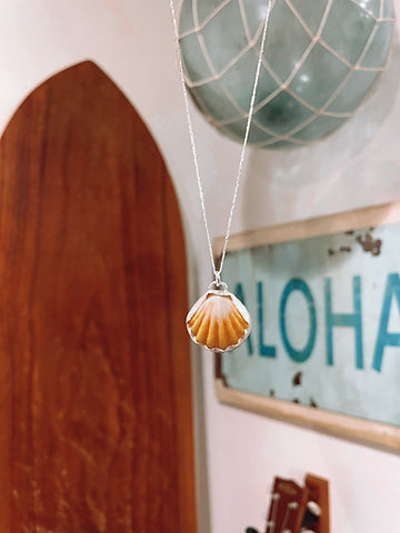 Sunrise Shell Necklace
