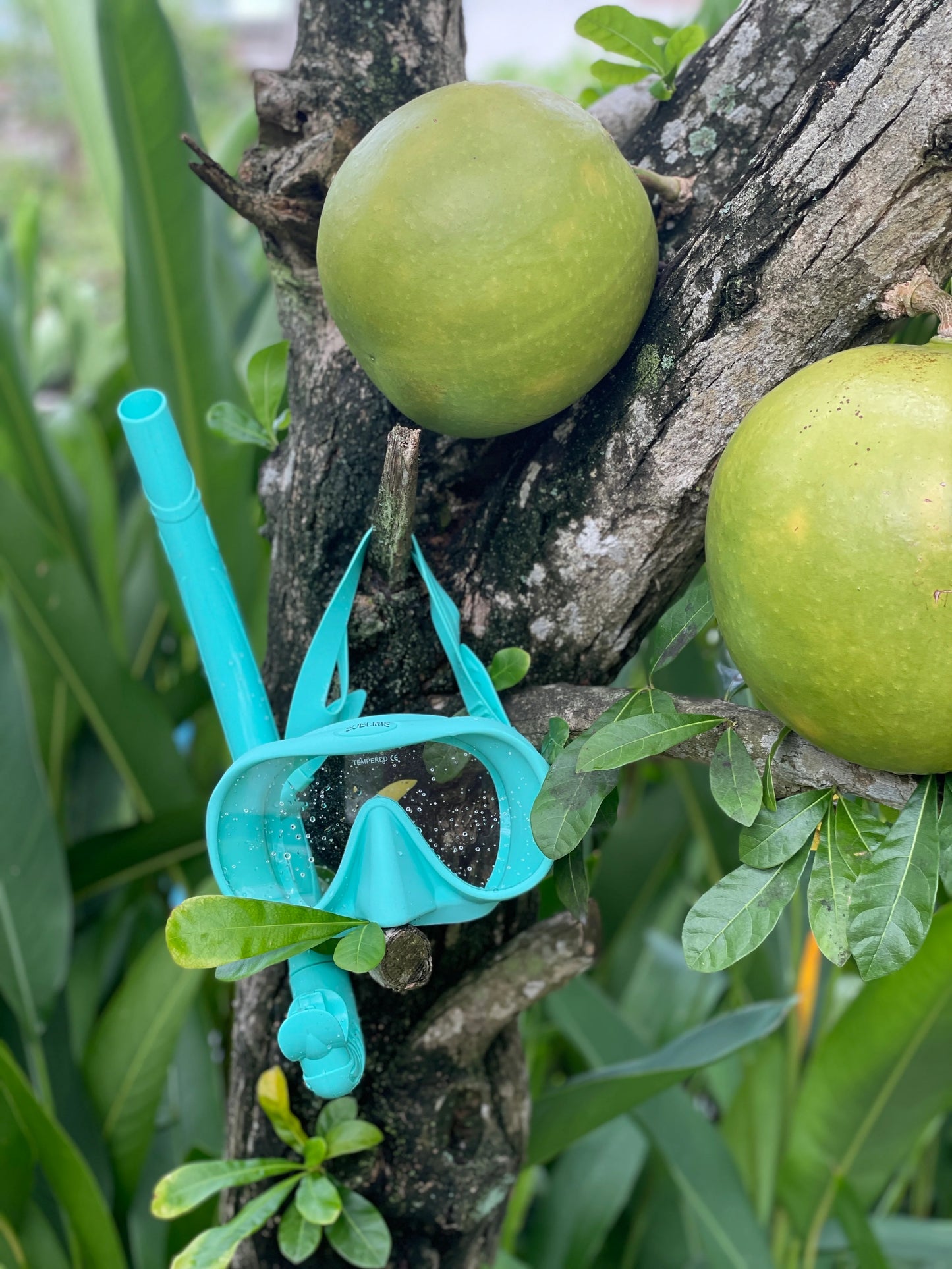 Snorkel Set - Aqua