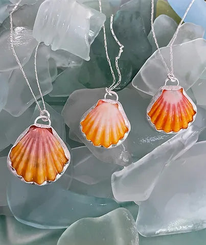 Sunrise Shell Necklace