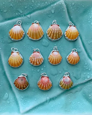 Sunrise Shell Necklace
