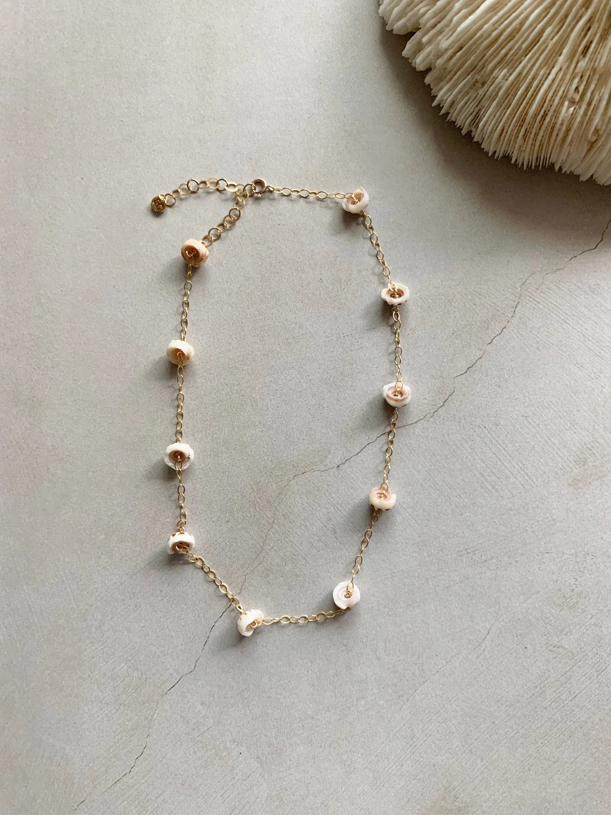 Puka Shell Choker Necklace