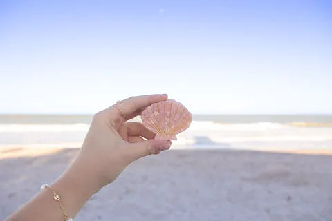 Shell Medium Hair Claw Clip