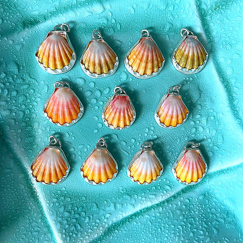 Sunrise Shell Necklace