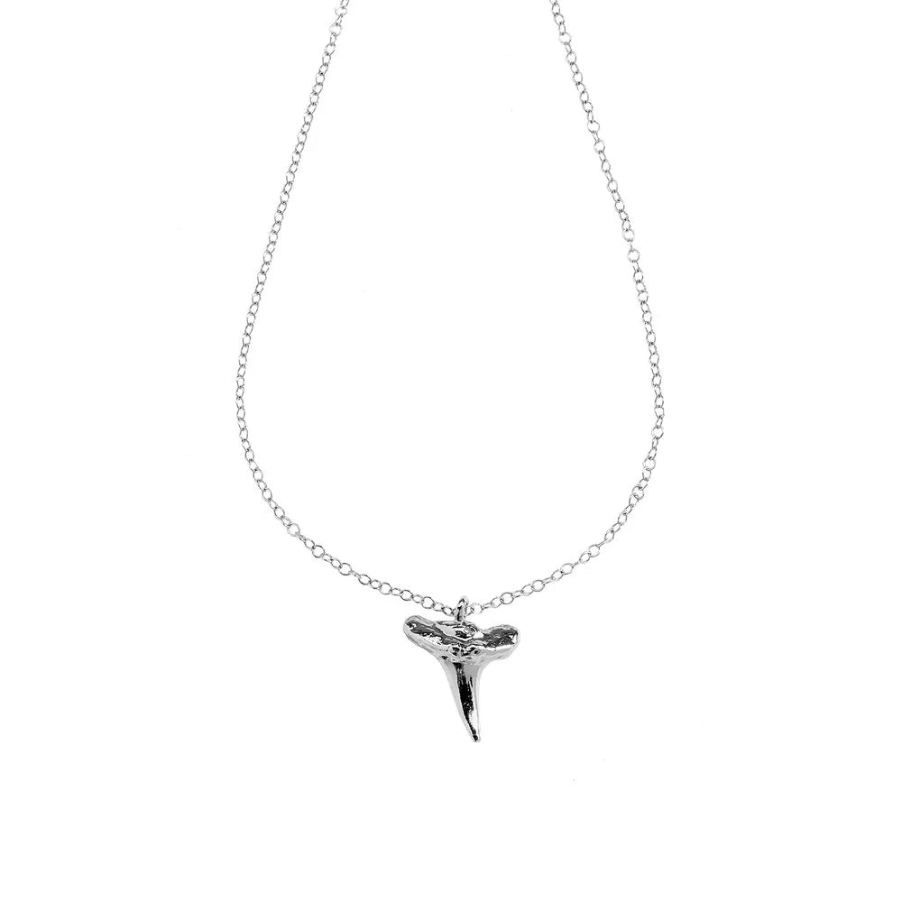 Shark Tooth Necklace