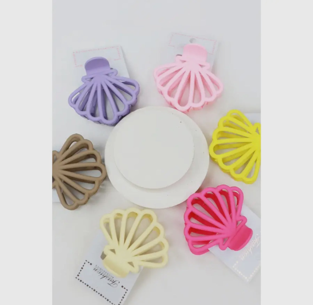 Matte Seashell Hair Clip