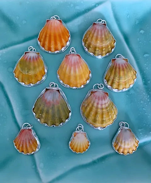 Large Sunrise Shell Necklace