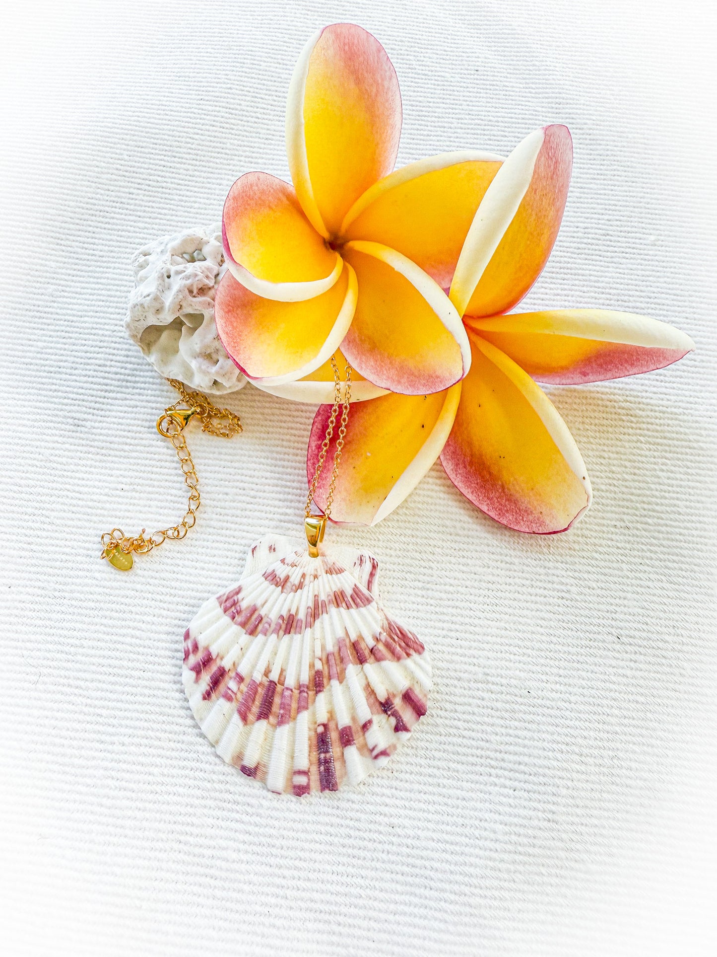 Shell Shores Necklace