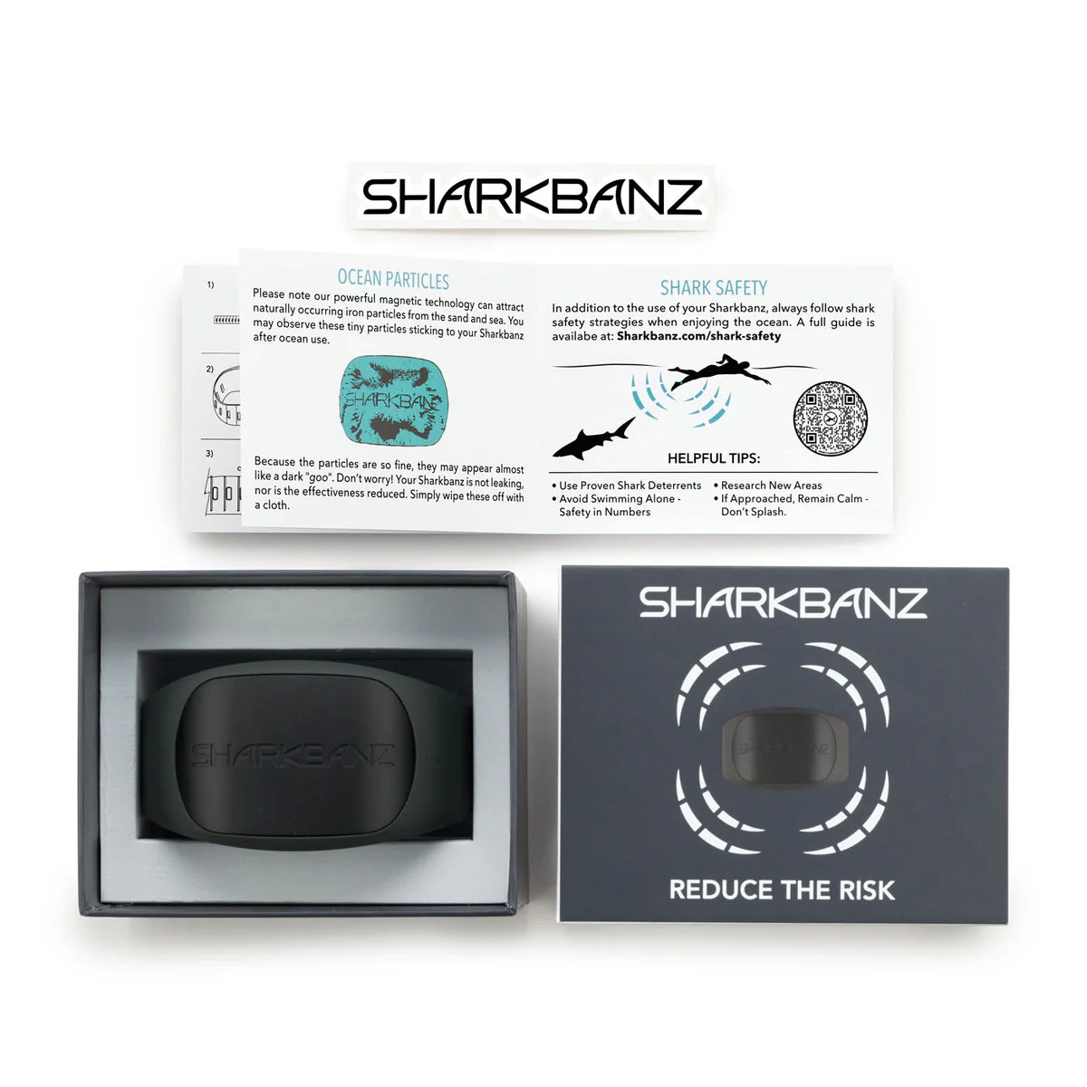 Slate/Black - SHARKBANZ 2