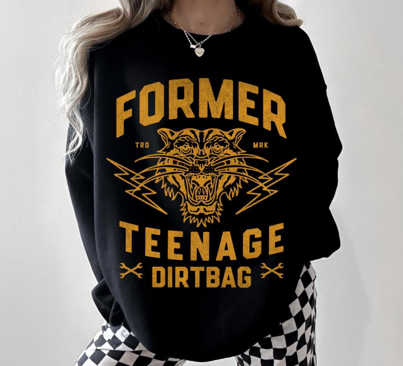Former Teenage Dirtbag