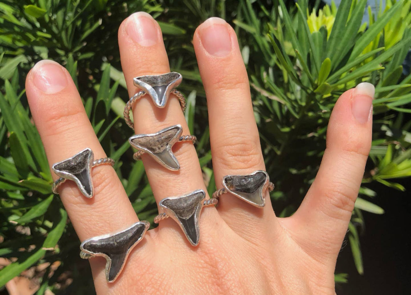 Shark Tooth Ring