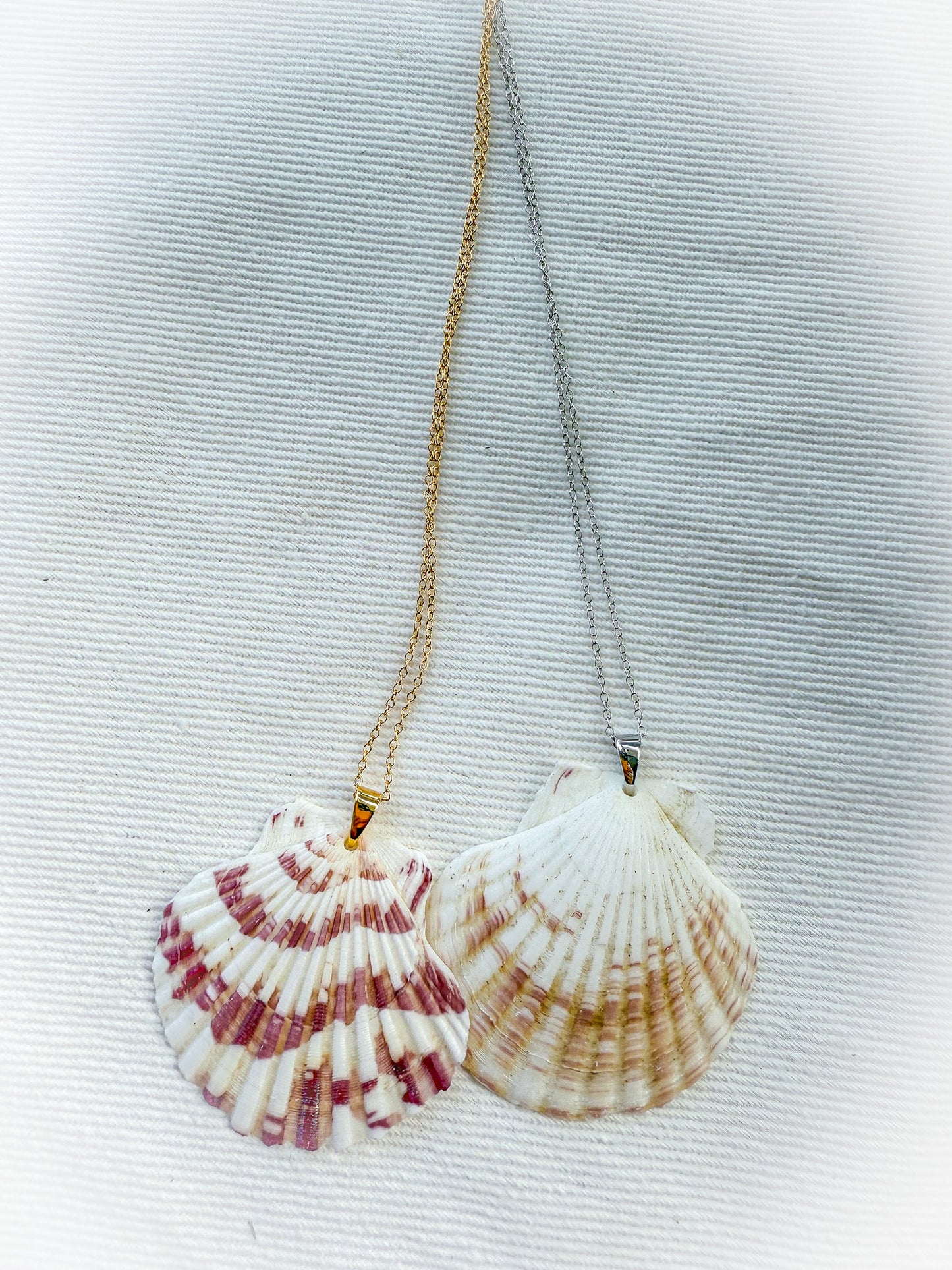 Shell Shores Necklace