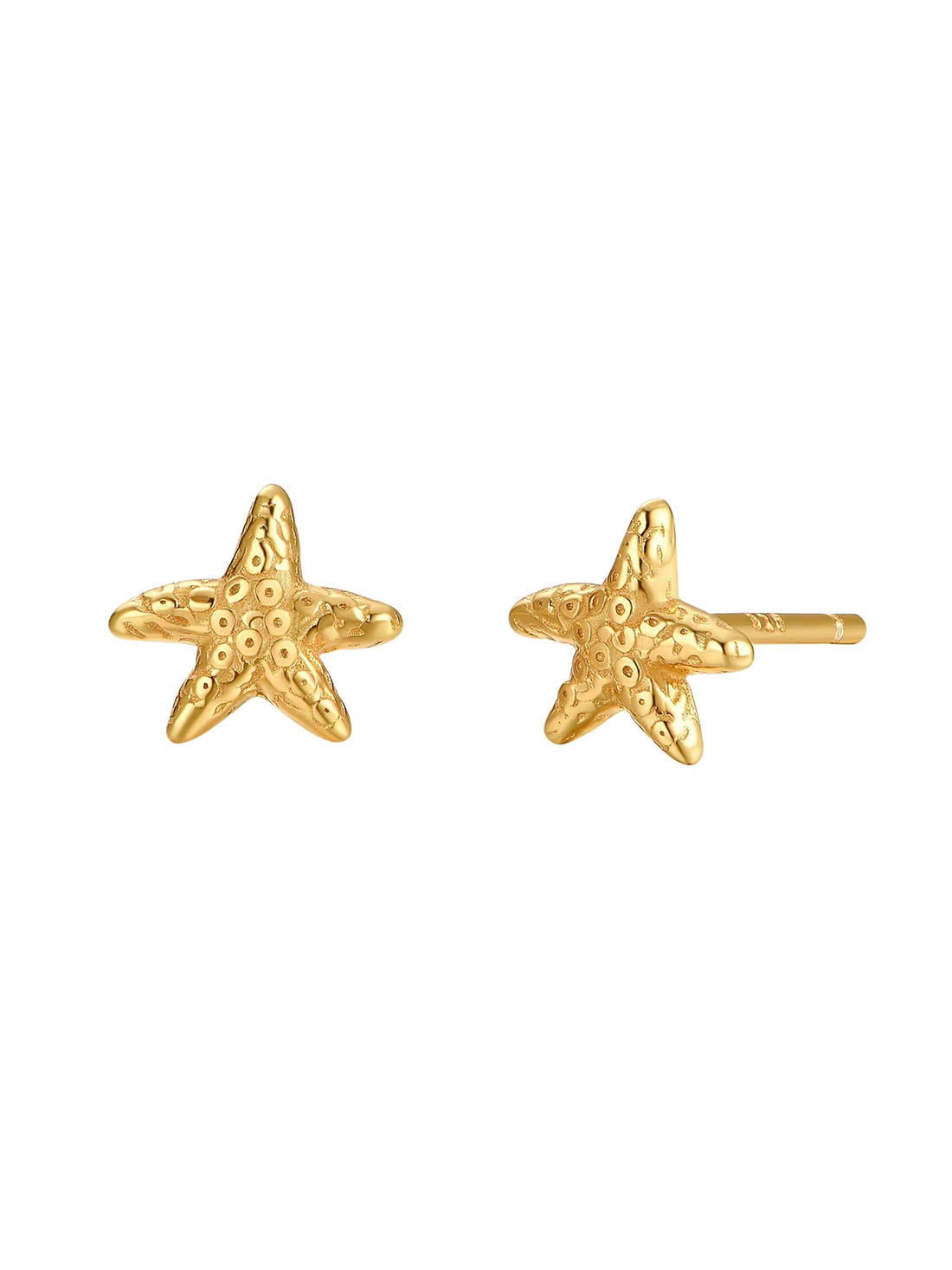 Sea Star Studs- LIMITED EDITION